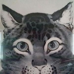 Meet your Posher, Gina